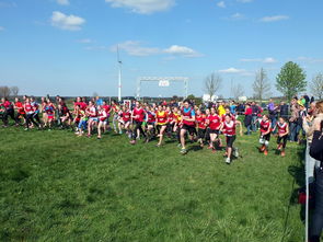 九游手机游戏-青少年体育社团活动对身心发展的促进作用，体育社团对学生的影响